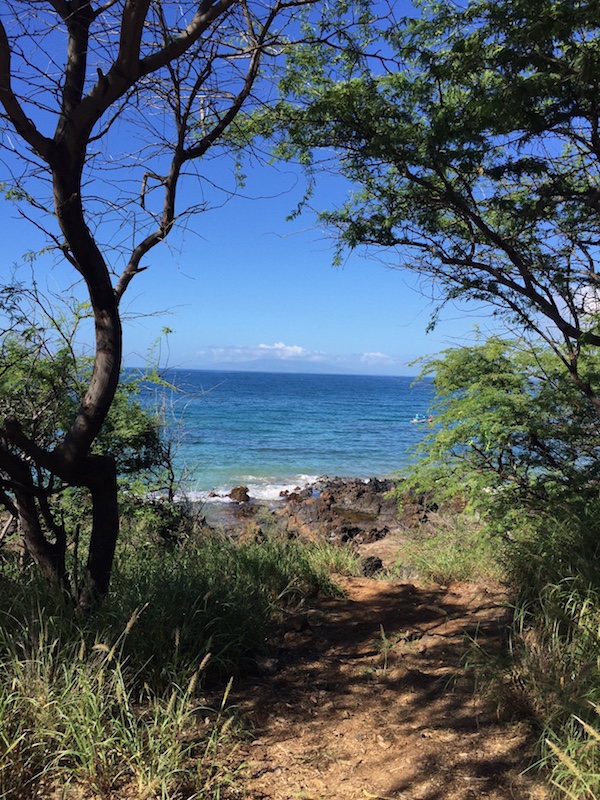 Image of Maui Beach
